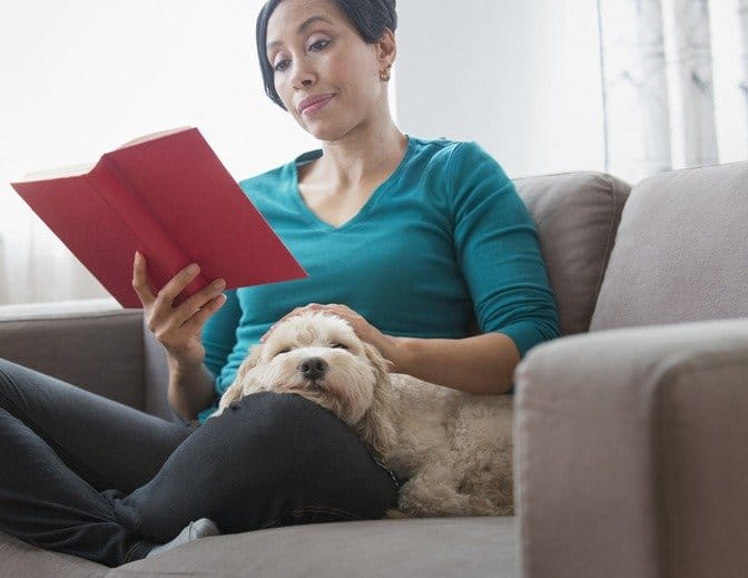 The Joy of Pets